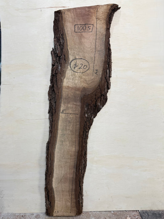 1005 | “ROUGH-SAWN” Black Walnut Live Edge Slab - (Hurricane Helene Collection)